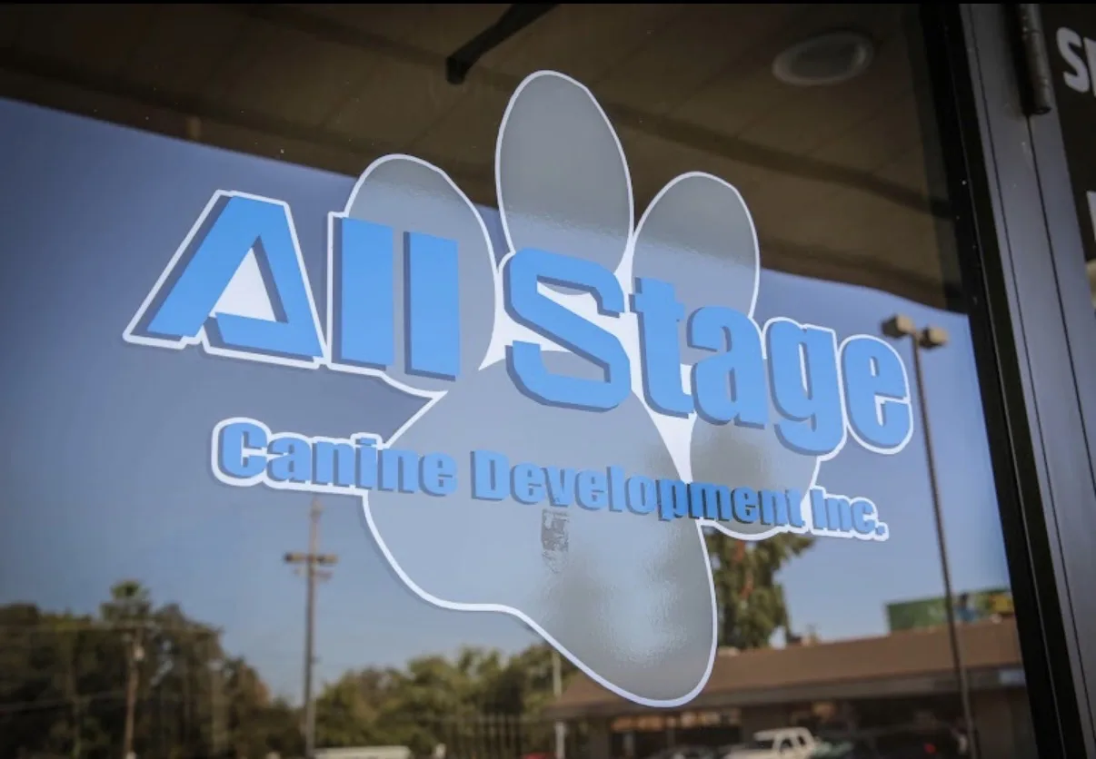 All stage canine development training