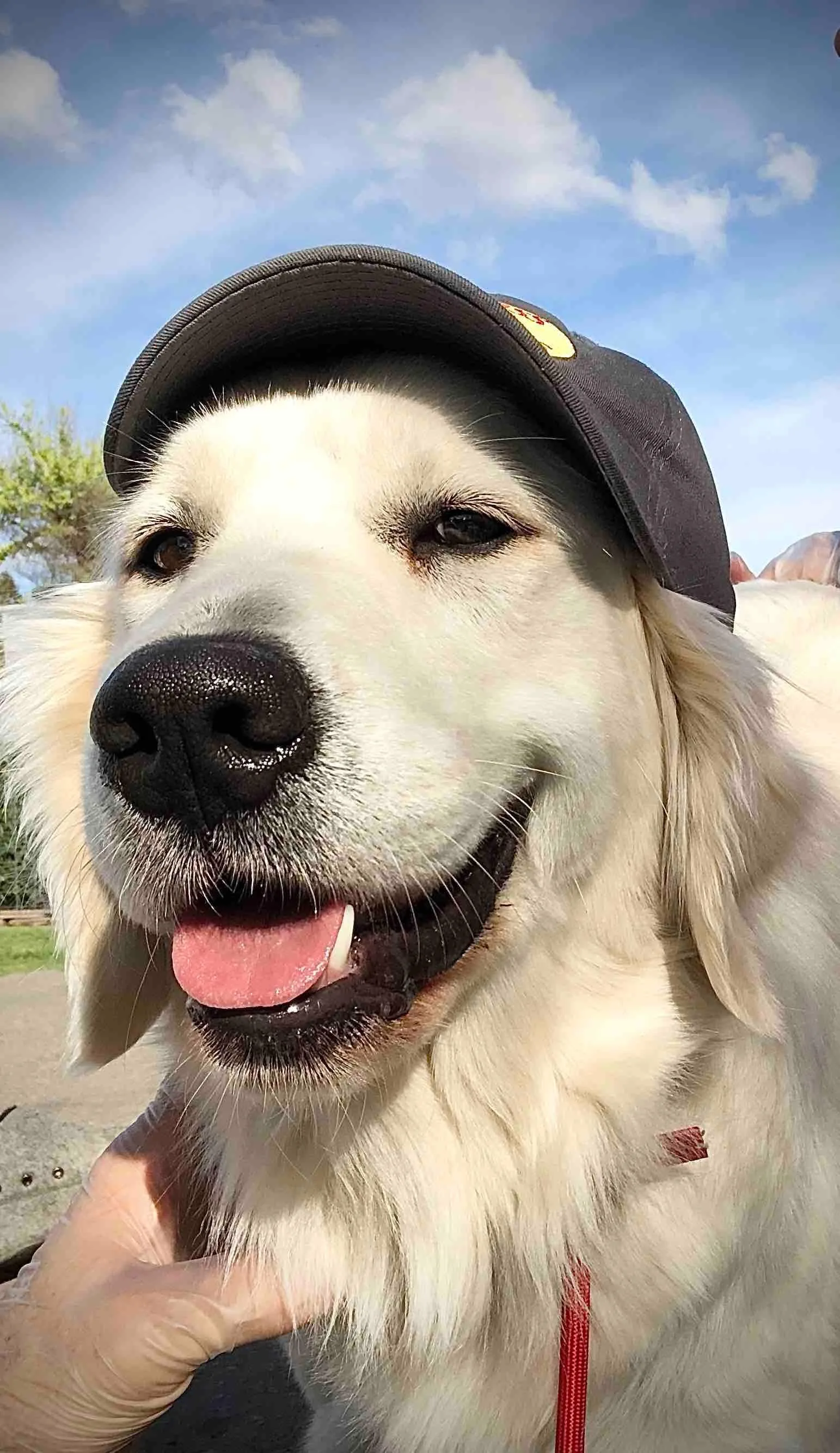 Happy Maggie!