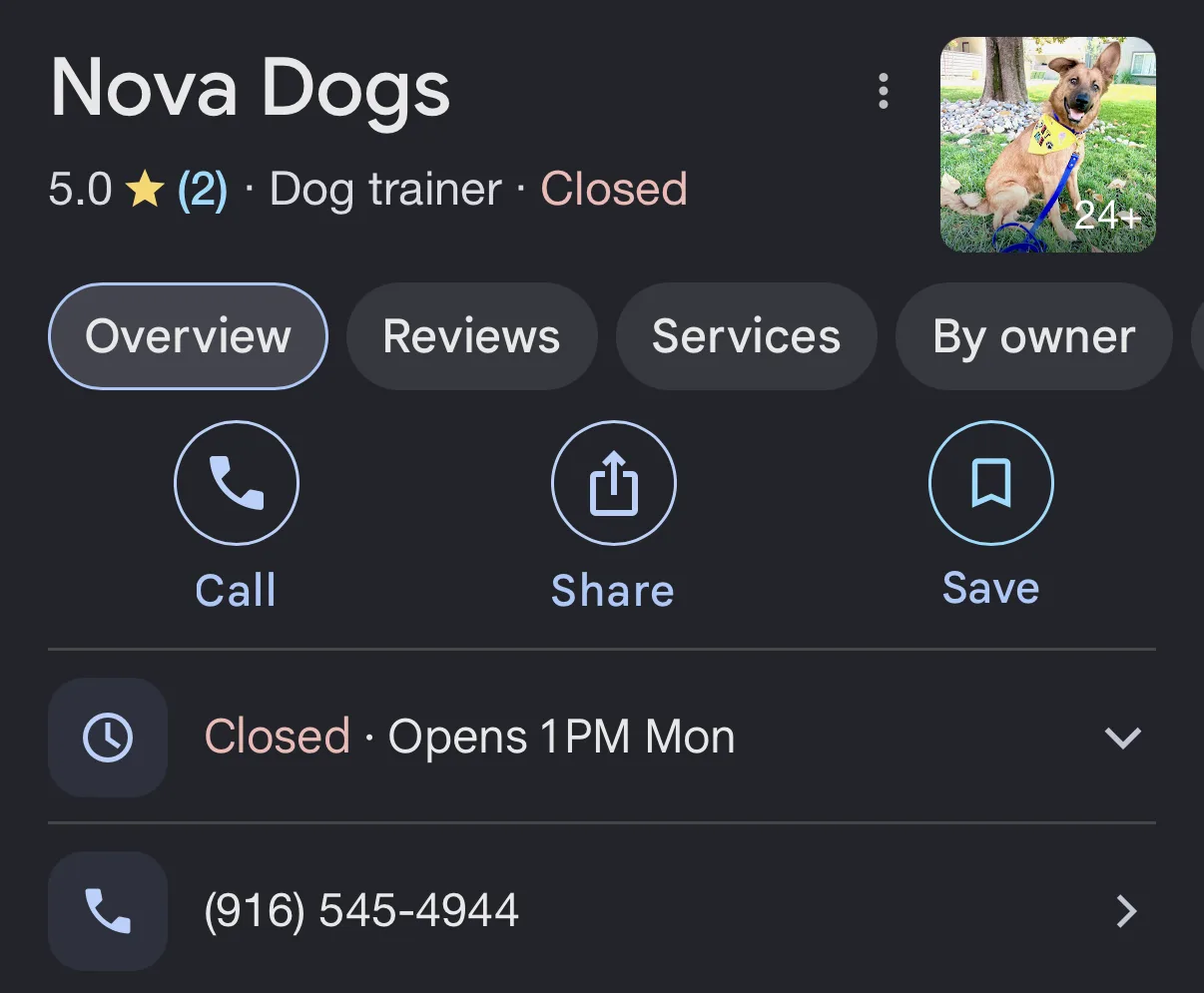 Nova dog training