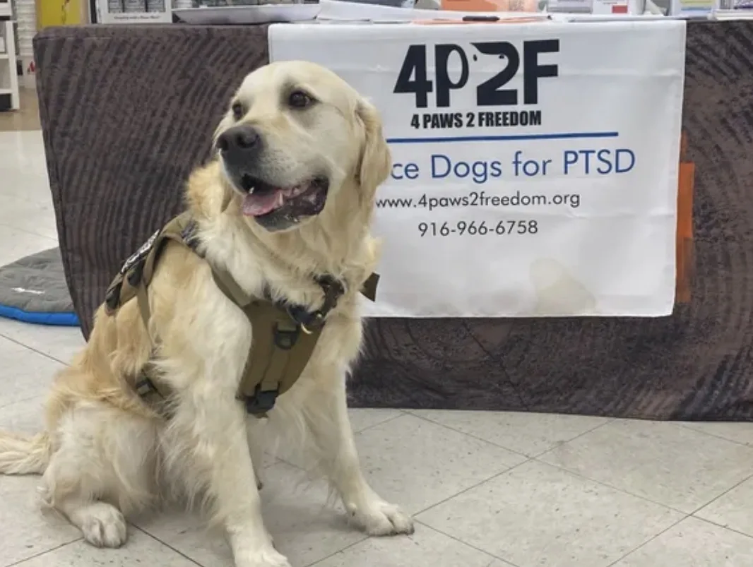 4Paws to Freedom training facility