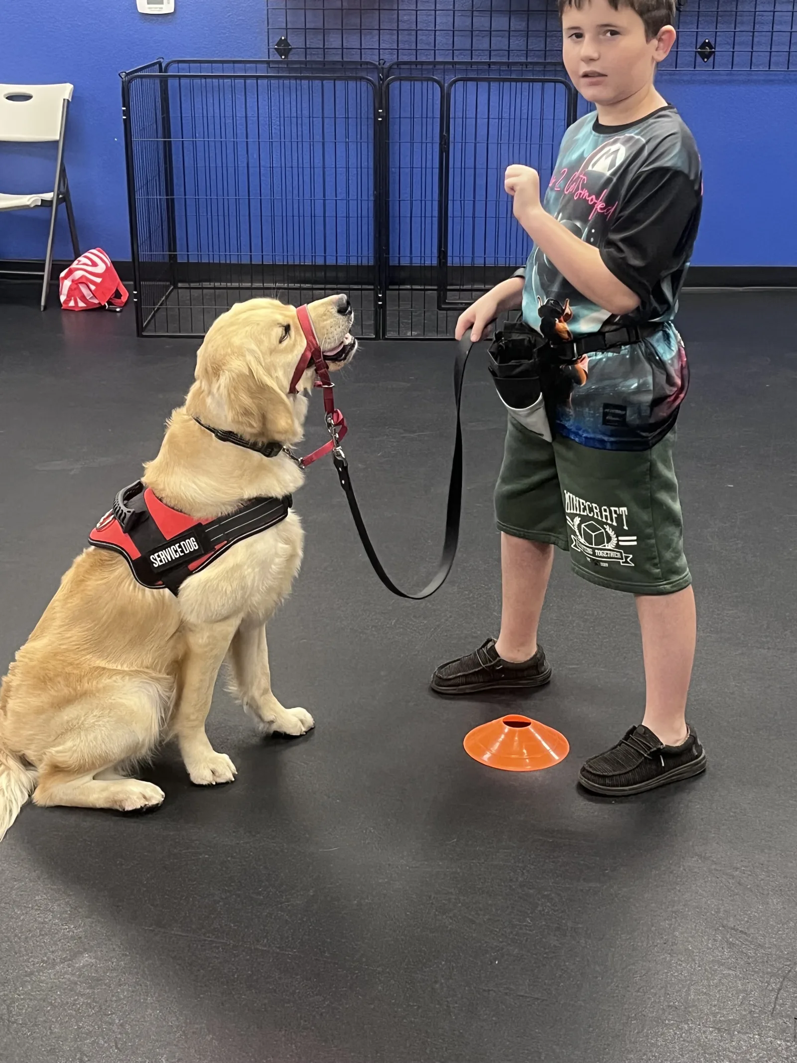 Bailey and Handler !